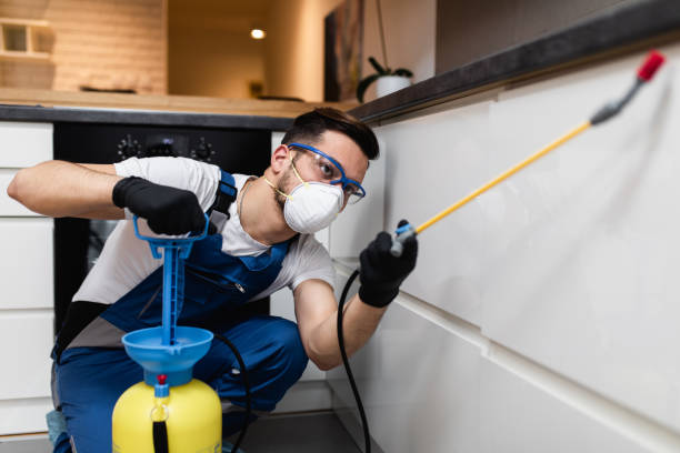 Professional Pest Control in Paloma Creek South, TX