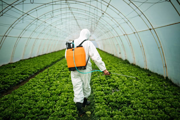 Best Commercial Pest Control Services  in Paloma Creek South, TX