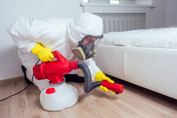 Best Emergency Pest Control  in Paloma Creek South, TX