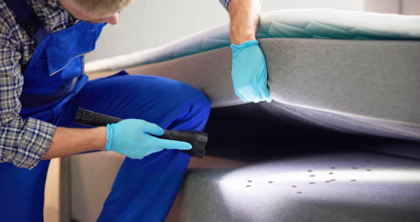 Reliable Paloma Creek South, TX Pest Control Solutions